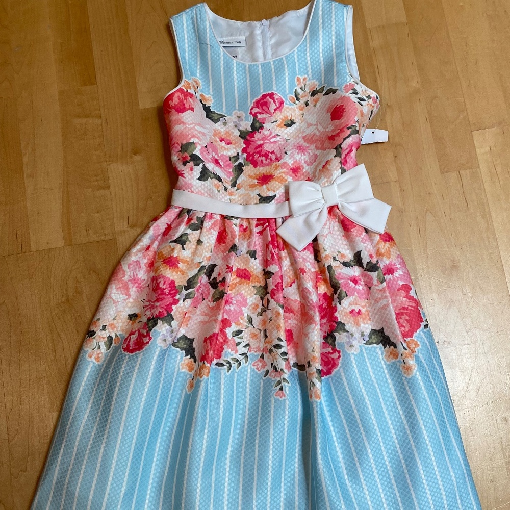 Girls Bonnie Jean - spring party dress NWT Size 12